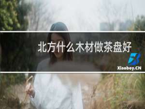 北方什么木材做茶盘好