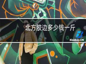 北方胶边多少钱一斤
