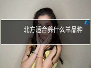 北方适合养什么羊品种