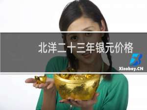 北洋二十三年银元价格