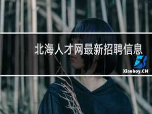 北海人才网最新招聘信息