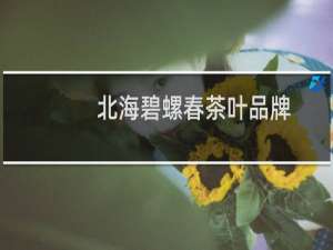 北海碧螺春茶叶品牌