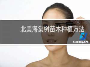 北美海棠树苗木种植方法
