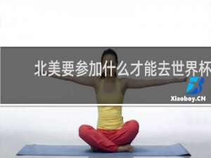 北美要参加什么才能去世界杯