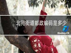 北苑街道邮政编码是多少