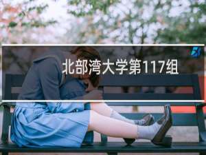 北部湾大学第117组有哪些专业 录取多少分人