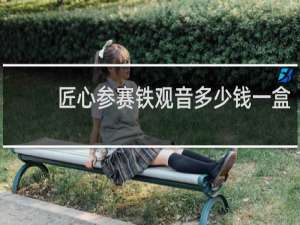 匠心参赛铁观音多少钱一盒