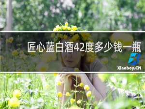 匠心蓝白酒42度多少钱一瓶