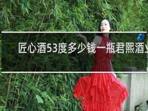 匠心酒53度多少钱一瓶君熙酒业