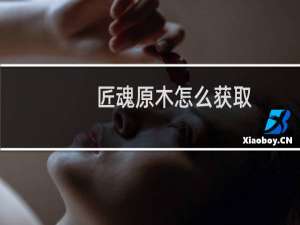 匠魂原木怎么获取