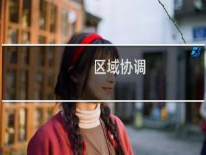 区域协调