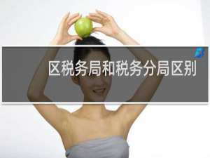 区税务局和税务分局区别