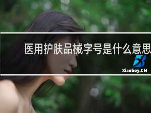 医用护肤品械字号是什么意思