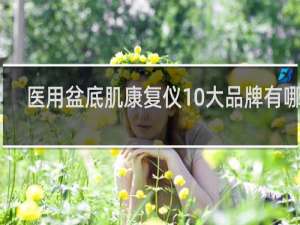 医用盆底肌康复仪10大品牌有哪些