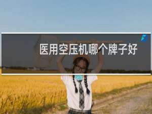 医用空压机哪个牌子好