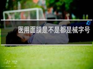 医用面膜是不是都是械字号