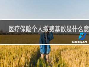 医疗保险个人缴费基数是什么意思