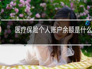 医疗保险个人账户余额是什么