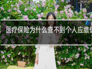医疗保险为什么查不到个人应缴信息