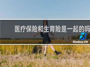 医疗保险和生育险是一起的吗