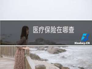 医疗保险在哪查