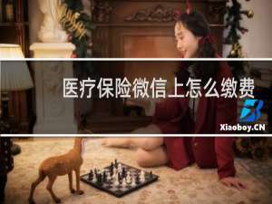 医疗保险微信上怎么缴费