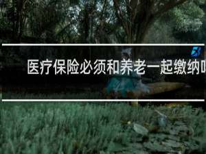 医疗保险必须和养老一起缴纳吗