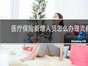 医疗保险新增人员怎么办理流程