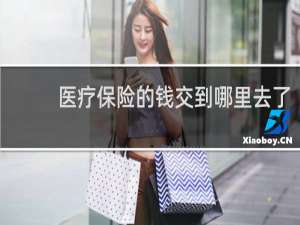 医疗保险的钱交到哪里去了