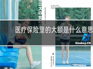 医疗保险里的大额是什么意思