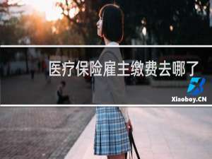 医疗保险雇主缴费去哪了