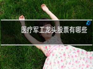 医疗军工龙头股票有哪些