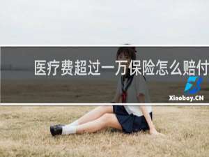 医疗费超过一万保险怎么赔付