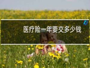 医疗险一年要交多少钱