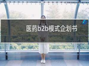 医药b2b模式企划书