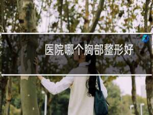 医院哪个胸部整形好