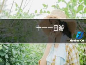 十一一日游
