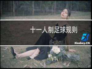 十一人制足球规则