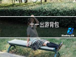 十一出游背包