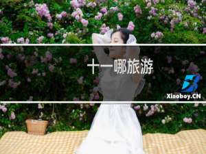 十一哪旅游