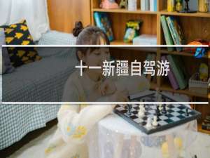 十一新疆自驾游