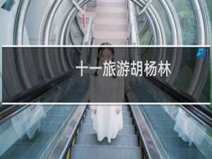十一旅游胡杨林