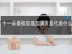 十一朵香槟玫瑰加满天星代表什么意思
