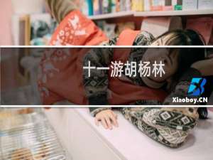 十一游胡杨林