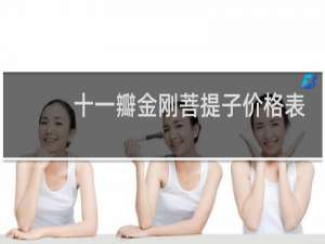 十一瓣金刚菩提子价格表
