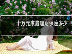 十万元家庭理财保险多少