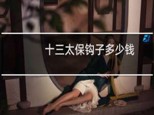 十三太保钩子多少钱