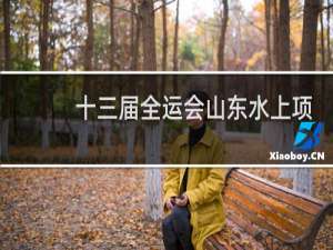 十三届全运会山东水上项目几金