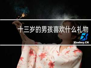 十三岁的男孩喜欢什么礼物