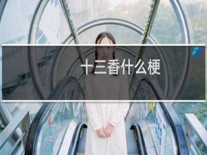 十三香什么梗